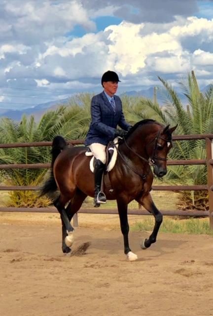 Culbreth Equine